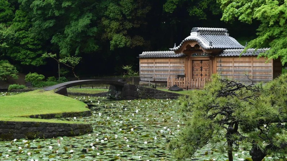 Embrace history and nature at Koishikawa Korakuen. Image credits to Klook.