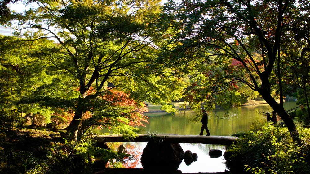 Discover a Tokyo masterpiece at Rikugien Garden. Image credits to Saara Sanamo (@saarasan) on Unsplash.