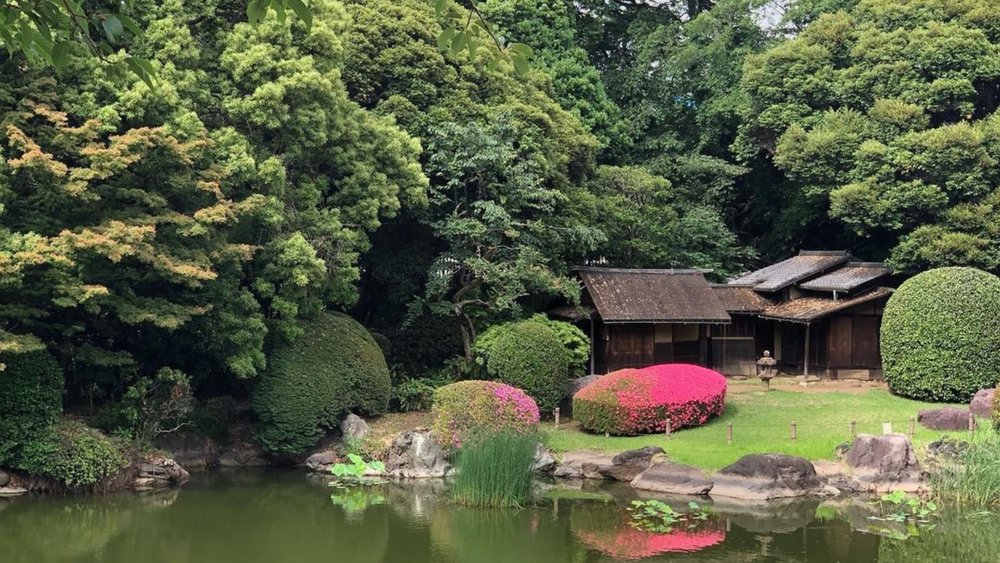 Lose yourself in this enchanting garden at Tokyo National Museum. Image credits to @luziaverdascaantunes on Instagram.