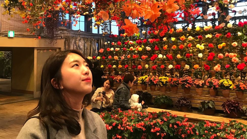 Brighten up your world at Nabana no Sato's Begonia Garnde! Image credits to @jkim4604 on Instagram.