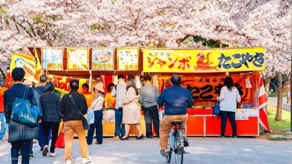 2024 Daytime Hanami Cherry Blossom Walking Tour