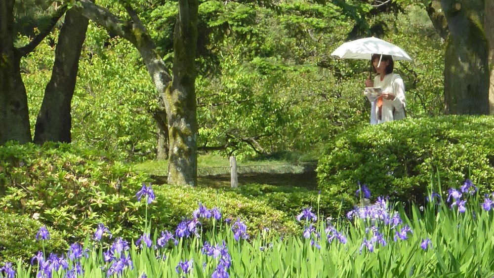 Don't miss the chance to take a lovely stroll along the beautiful Kenroku-en garden!] [Image credits @sharp3 on Unsplash