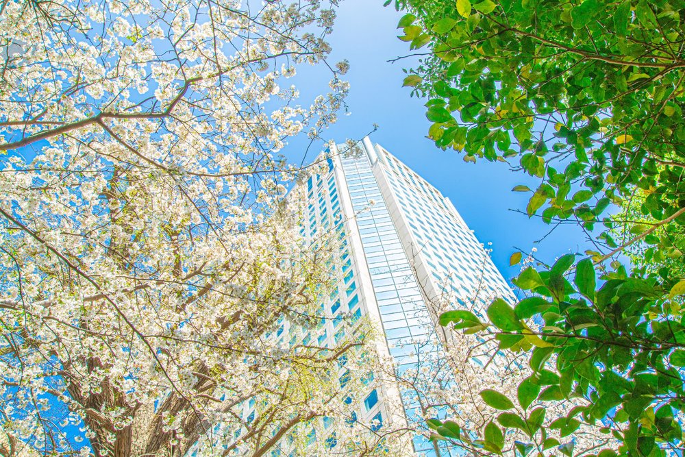 品川飯店推薦|品川王子大飯店