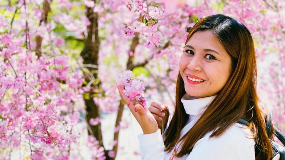 The cherry blossoms at Watarase are a feast for the eyes! 