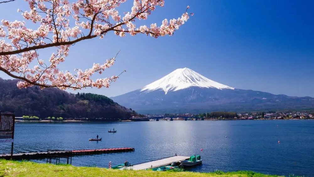 Seeing Mt. Fuji in its full glory is a wish come true!