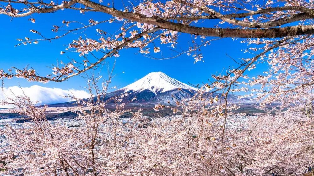 The views of Mt. Fuji from Lake Kawaguchi look straight out of a painting!