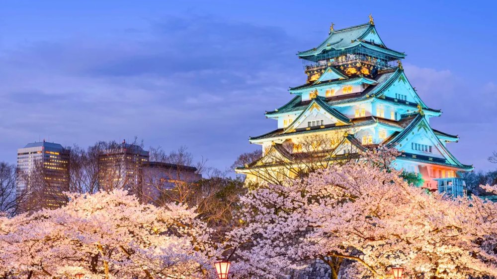 Watch the city light up at night with stunning hues of pink!