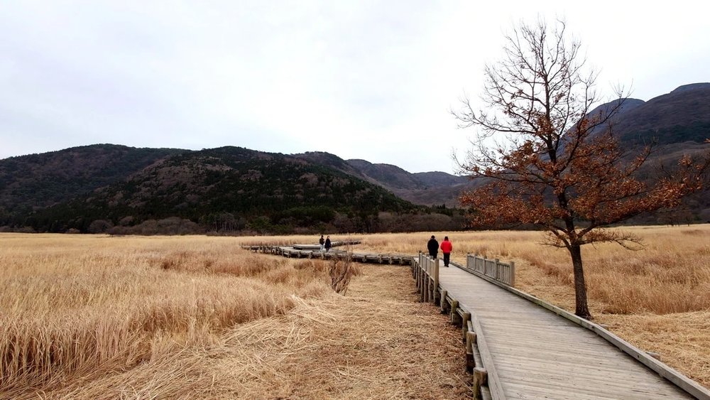 [hk]joykreator鋒加西亞