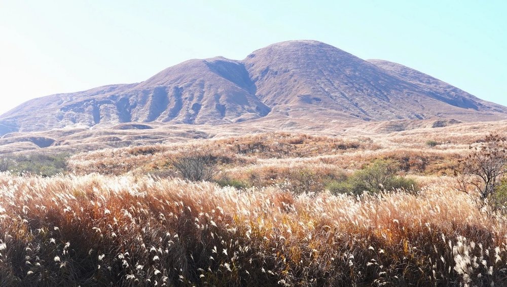 福岡租車 九州自駕遊 租車手續 取車還車程序