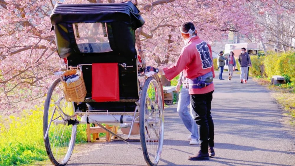 IN/AE - TTD in Japan during Cherry blossom -1 