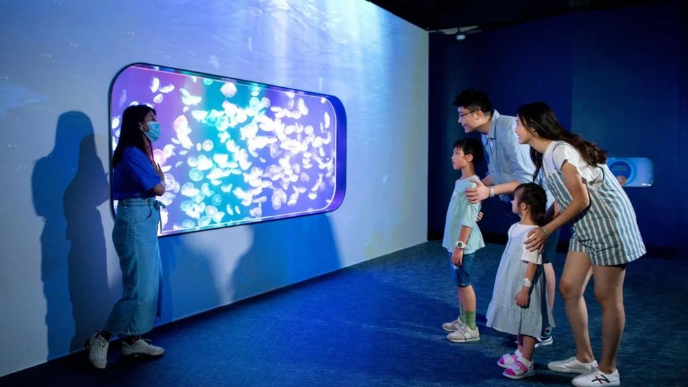 Hong Kong Cube O Discovery Park!