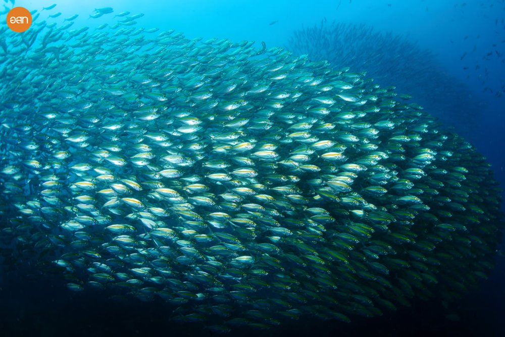 1.เกาะเต่า จังหวัดสุราษฎร์ธานี