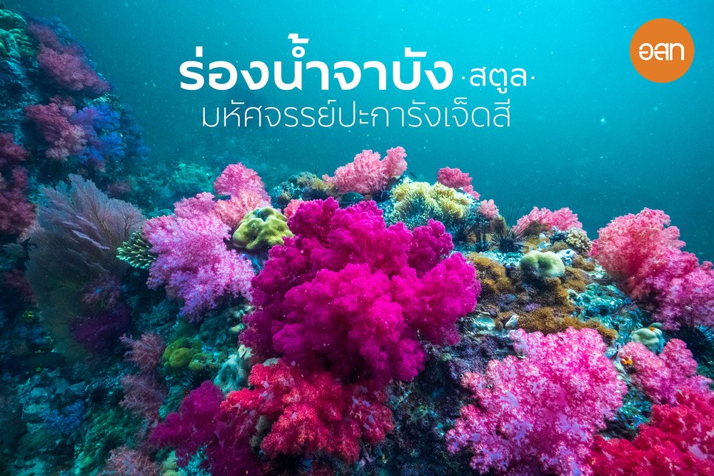 ร่องน้ำจาบัง สตูล