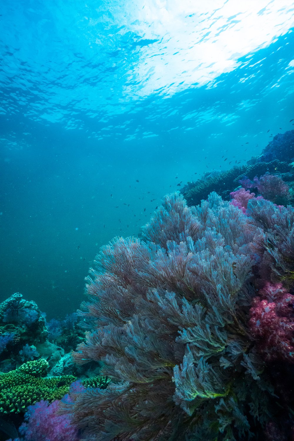 ร่องน้ำจาบัง สตูล