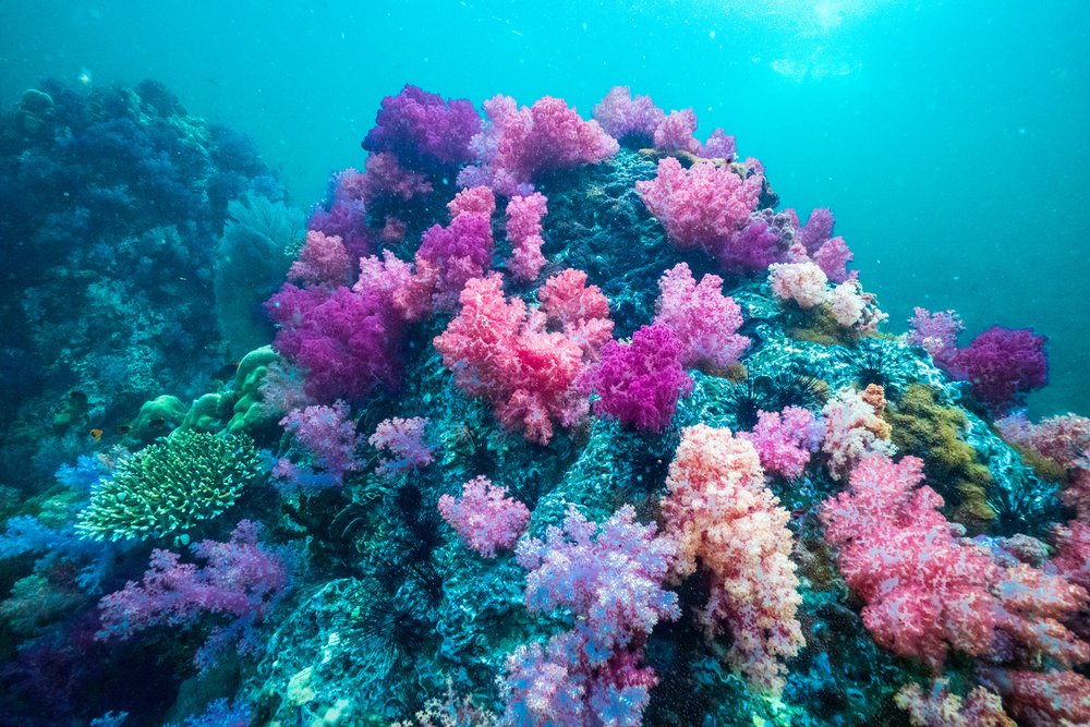 ร่องน้ำจาบัง สตูล