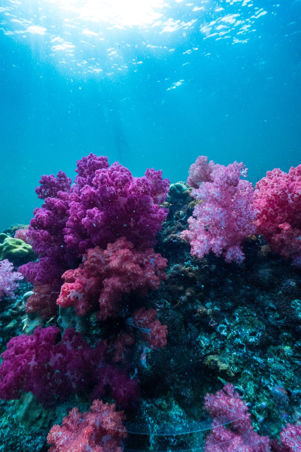 ร่องน้ำจาบัง สตูล