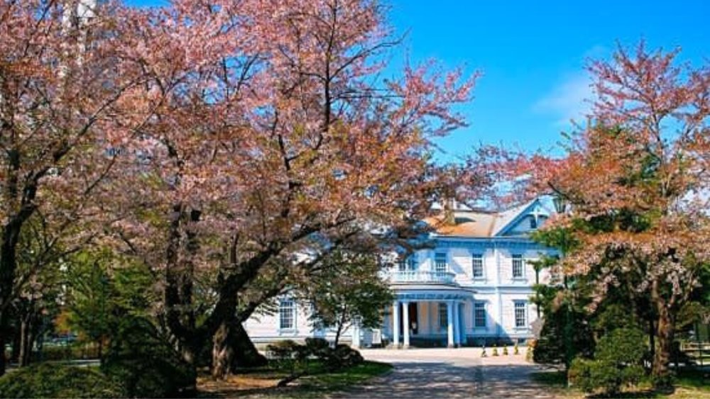 Just right across tourist landmarks, the Hotel Mystays Sapporo Nakajima Park is the best hotel in terms of accessibility and convenience.