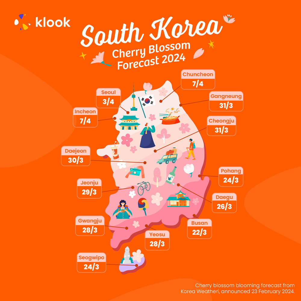 South Korea cherry blossom forecast 2024