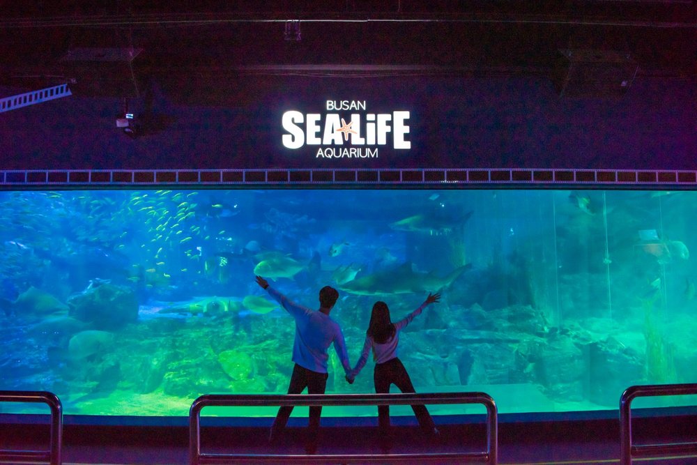 sea life busan