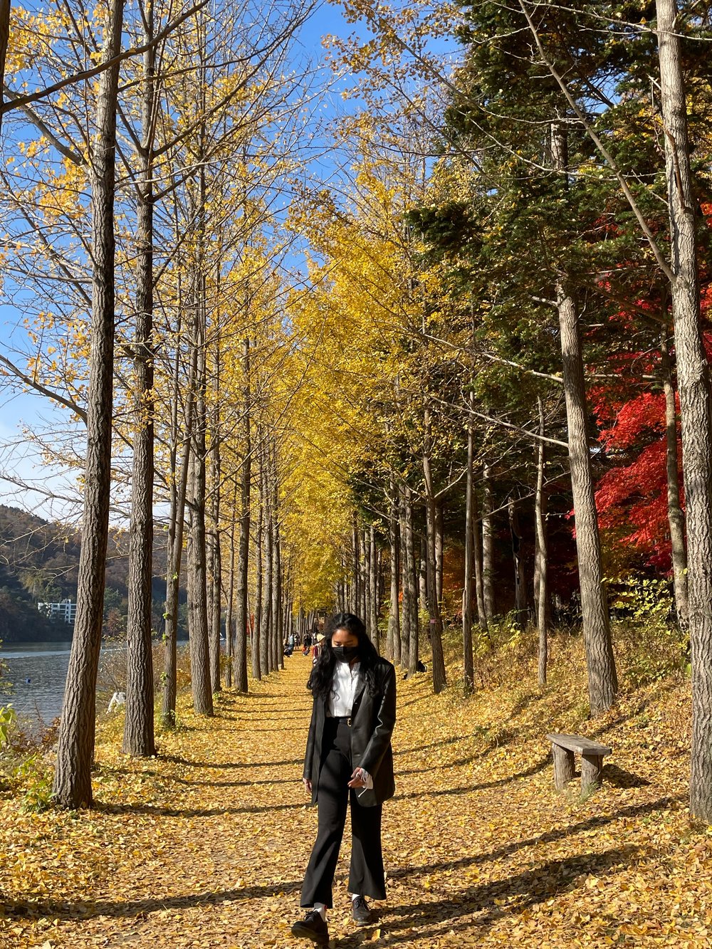 nami island