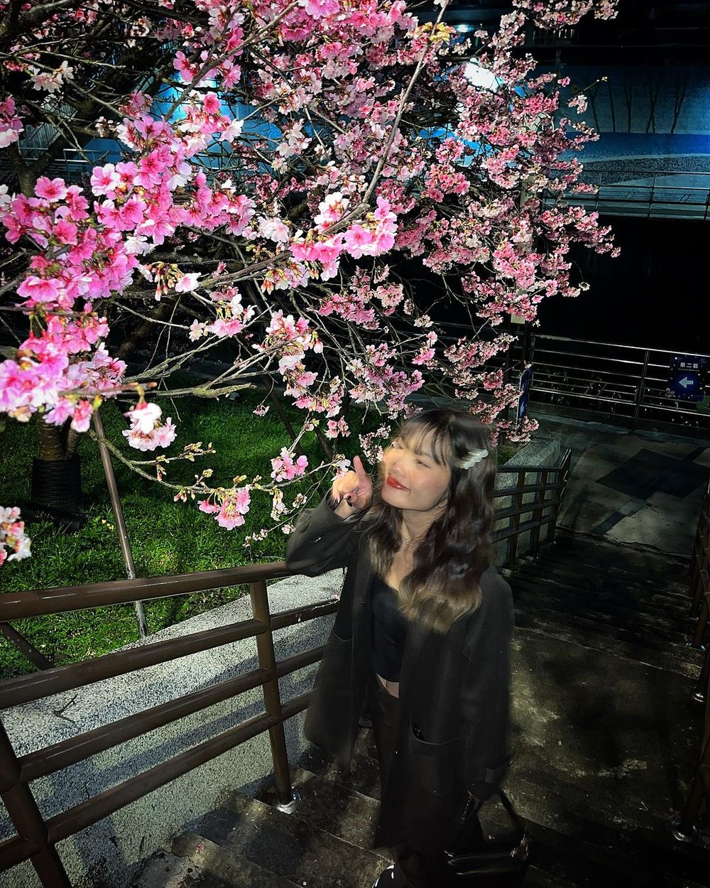 LOHAS Park cherry blossom spring trip Taipei