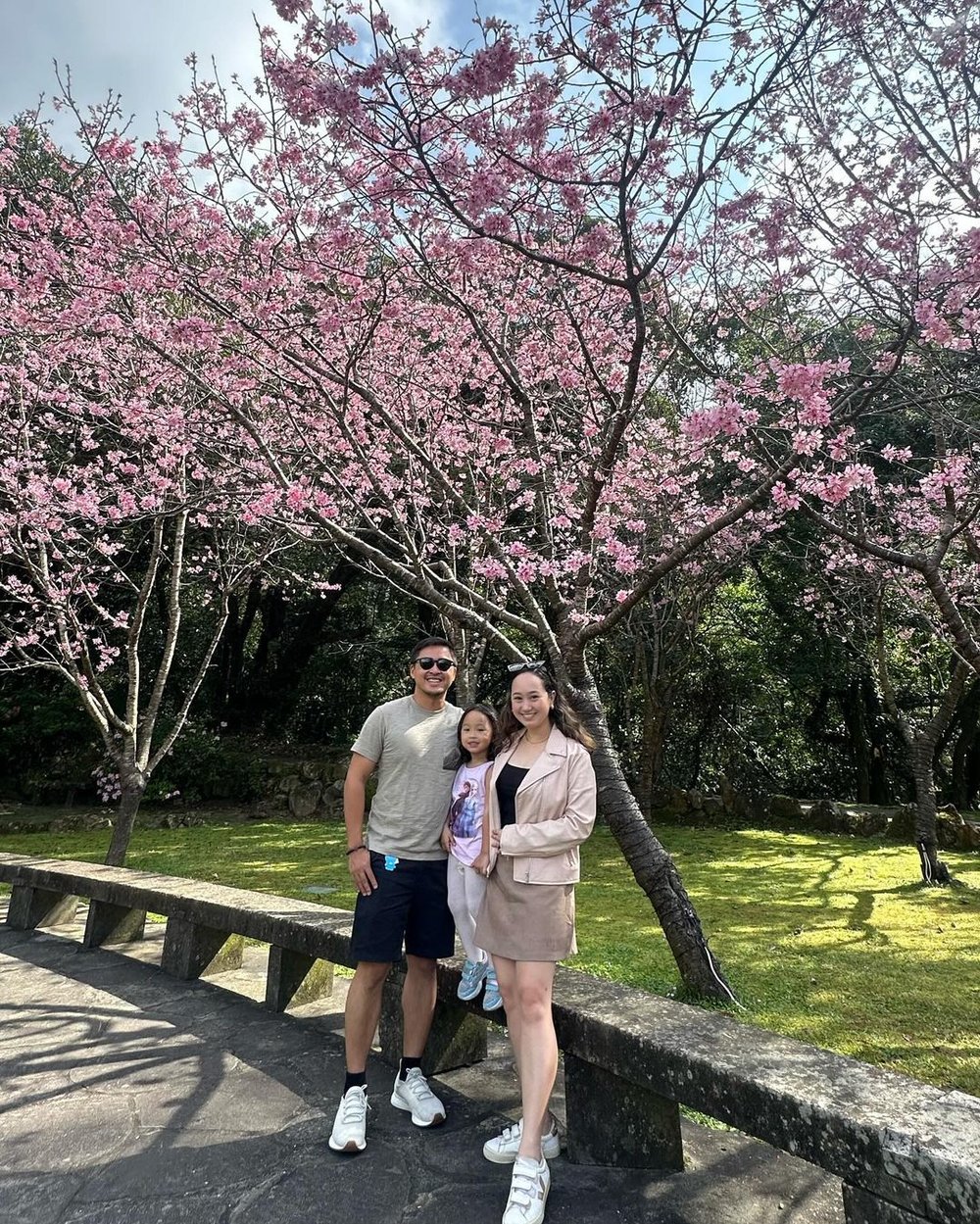 Yangmingshan National Park cherry blossom in Taiwan