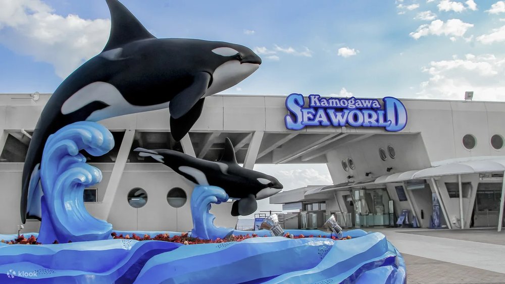 See the creatures, big and small, and fulfill your curiosity about the oceans and marine life