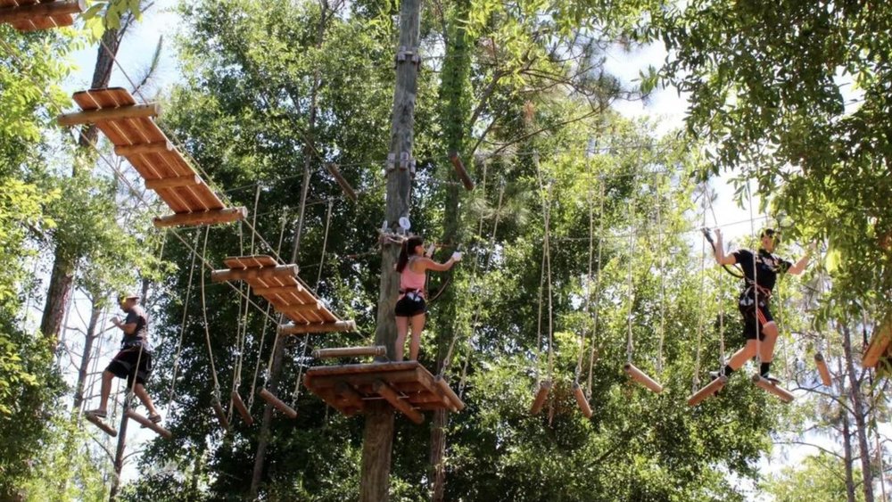 Have a fun, active day going through obstacle courses!