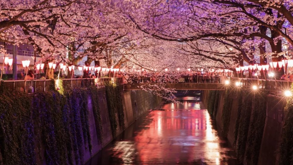Visiting Japan in Tokyo won't be complete without stopping by here. Credits to Klook