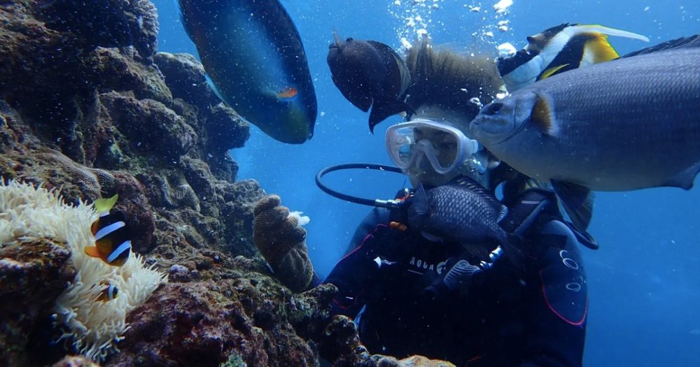 Cool off in pleasant sea temperatures when go for a dive! Credits to Klook