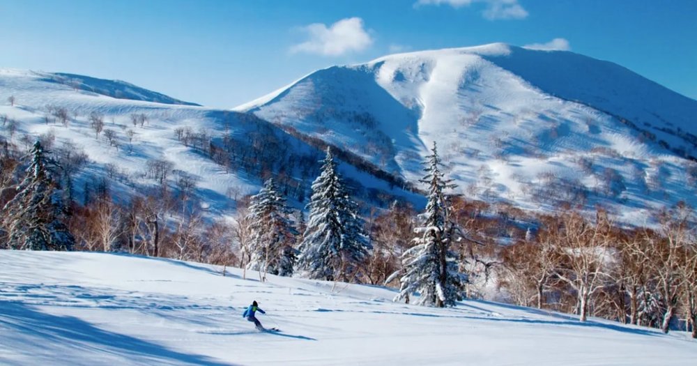 Zip down a snowy mountain in Sapporo for a fun winter activity with the family! Credits to Klook