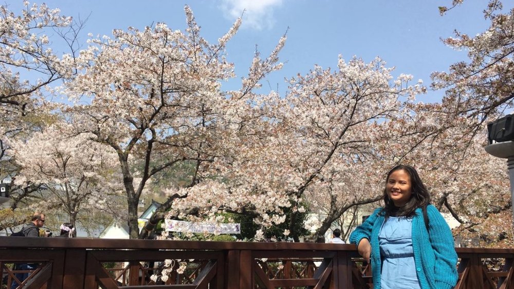 Everywhere is a photo opportunity with the cherry blossoms! Credits to Klook