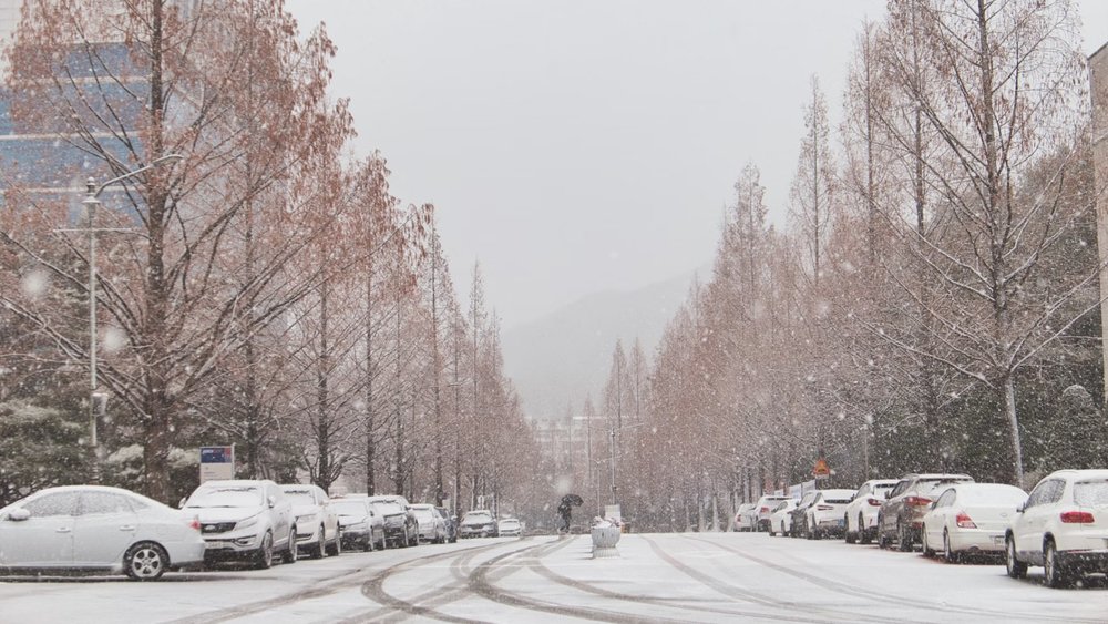 The dry winter months in South Korea are the coolest. Credits to Sunghoon Kim on Unsplash