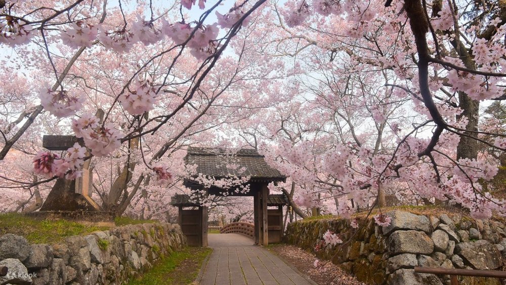 Takato Castle blooms with hundreds of years of history at its core.