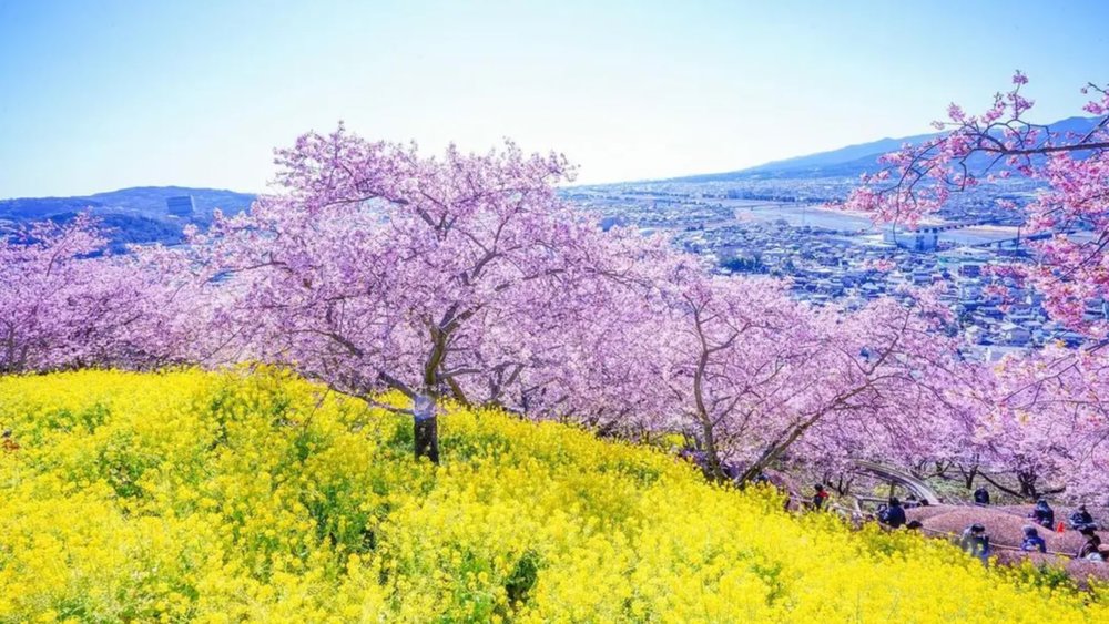 Enjoy peak views of the city all the way from Matsuda Park!