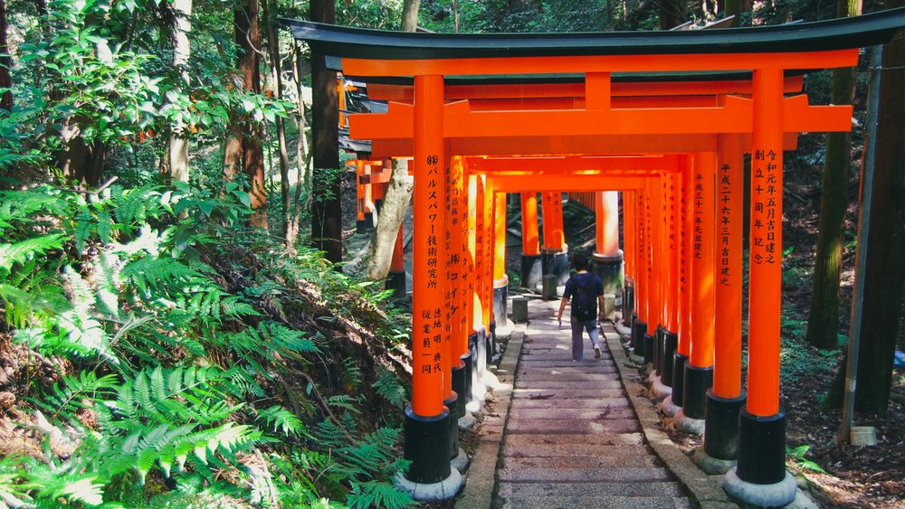 Entering these bright red gates feels extra magical with the spring greenery! Credits to @susannschuster on Unsplash