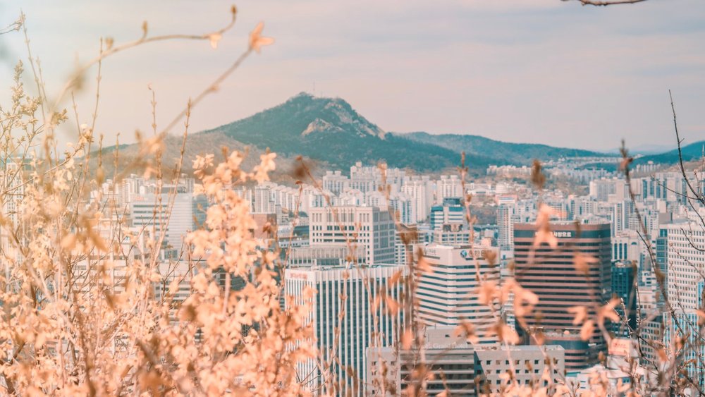 TH See the picture-perfect views from N Seoul Tower during spring! Credits to @caitellis on Unsplash