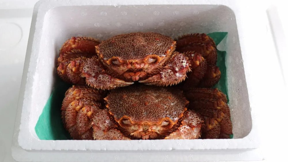 Feast on this mouthwatering crab delicacy!