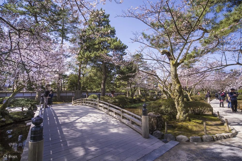 金澤兼六園 日本旅行津貼 昇龍道