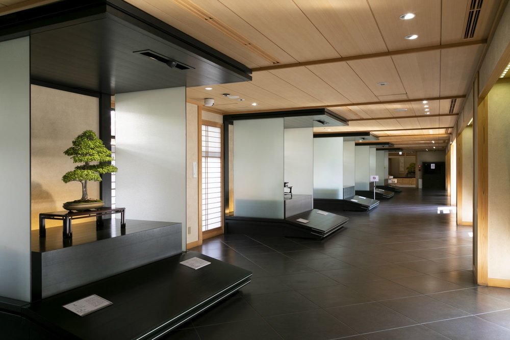 Appreciate and be amaze at the different types of bonsai at Omiya Bonsai Art Museum