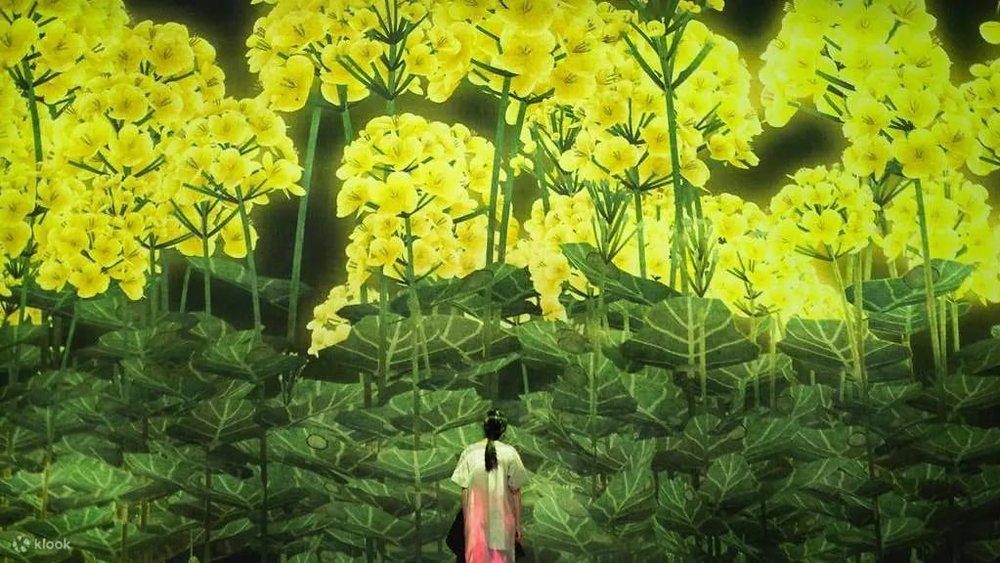 artscience-singapore