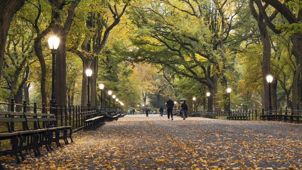 Take a bike or walking tour through romantic Central Park. Credits to Andrea Belussi on Unsplash