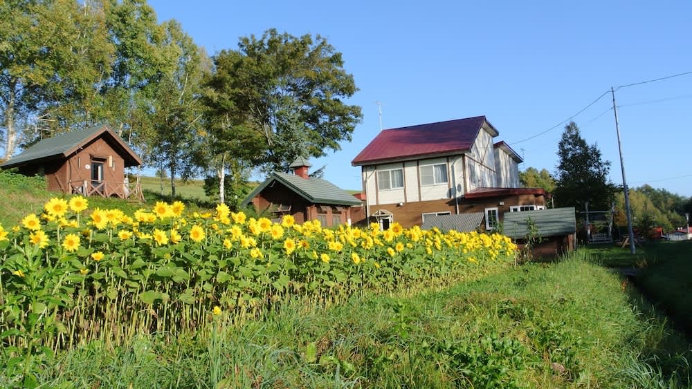 美瑛飯店推薦｜惠雪民宿