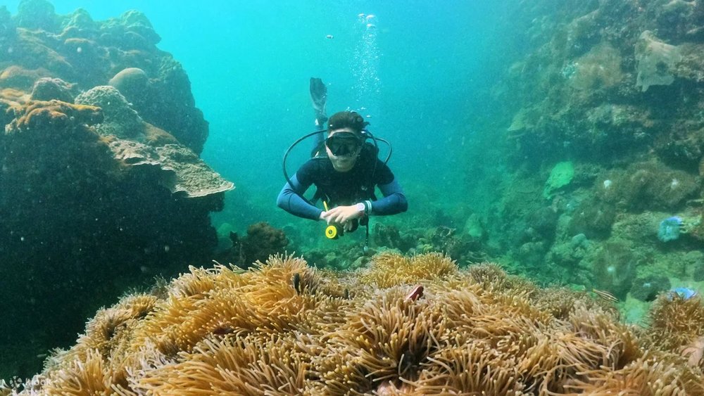 富國島 潛水行程