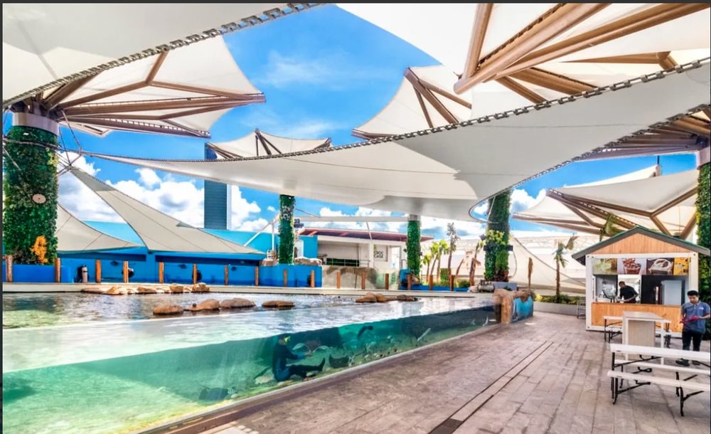 Cebu Ocean Park Ticket - PH