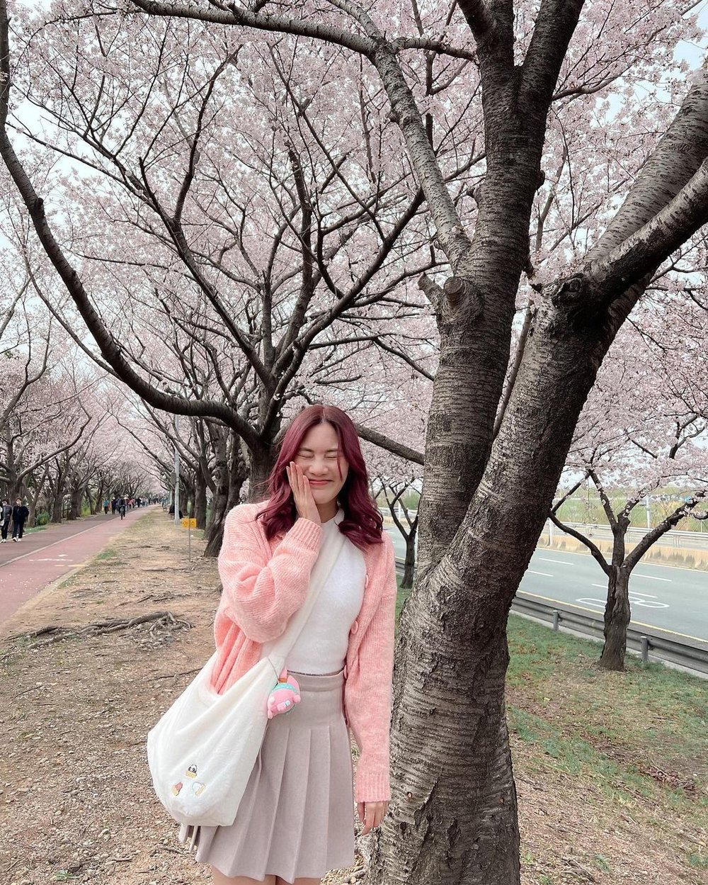 Samnak Ecological Park busan cherry blossom