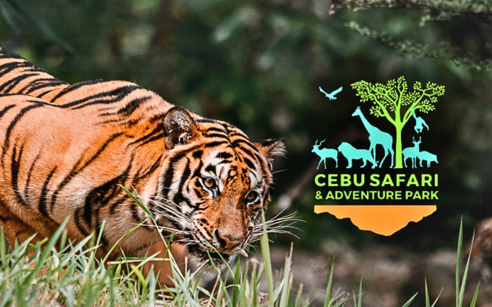 dia-diem-du-lich-cebu