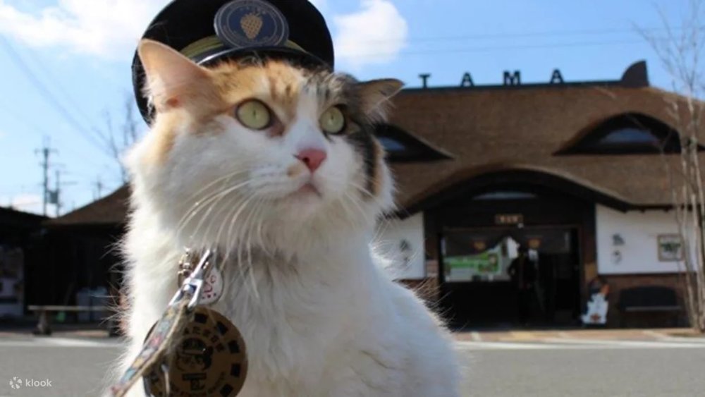 和歌山一日遊景點|貴志車站