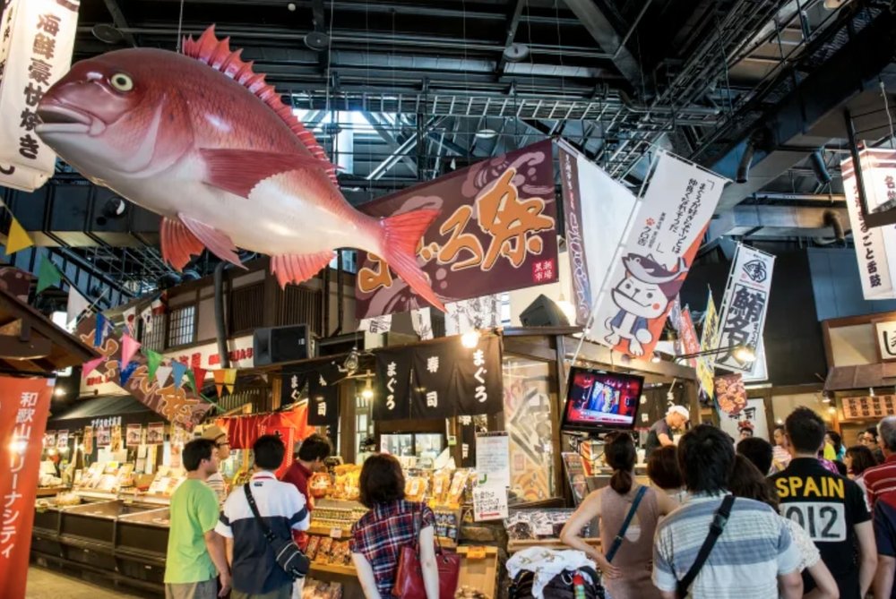 和歌山一日遊景點|黑潮市場
