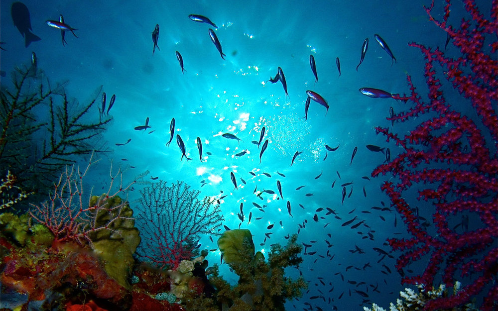 dia-diem-du-lich-Philippines